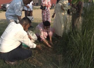 विश्व वातावरण दिवसको अवसरमा मेडिकल कलेज परिसरमा बृक्षाराेपण