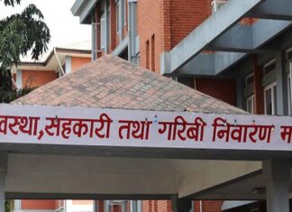 विदेशी पीआर लिएका चार सरकारी कर्मचारीलाई सोधियो स्पष्टीकरण