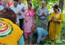 पहिराेग्रस्त बुटवलको ज्याेतिनगर क्षेत्रमा बृहत बृक्षाराेपण
