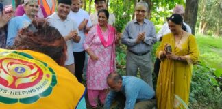 पहिराेग्रस्त बुटवलको ज्याेतिनगर क्षेत्रमा बृहत बृक्षाराेपण