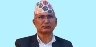 विष्णु पौडेललाई साधारण तारेखमा रिहा गर्न विशेष अदालतको आदेश