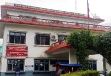 लुम्बिनी प्रदेशमा साउनमा मात्रै ४१८ सवारी दुर्घटना, ३५ जनाको मृत्यु,७१० जना घाइते