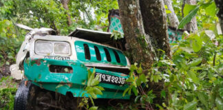 पाल्पाको तिनाउमा जिप दुर्घटना : चालकसहित १० जना घाइते