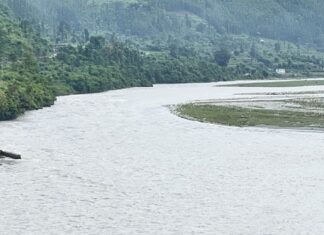 बाढीले बगाएर ल्याएको दाउरा निकाल्ने क्रममा नदीमा डुबेर युवक बेपत्ता