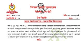 कटुवा पेस्तोलसहित दुई जना पक्राउ