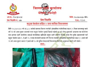 कटुवा पेस्तोलसहित दुई जना पक्राउ