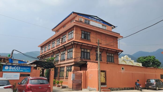 bucci building
